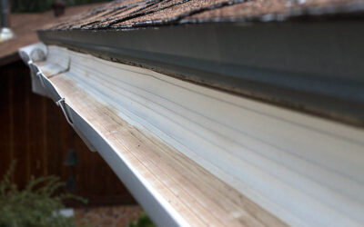 Gutter Specialist: The Importance of Hiring one for Your Home